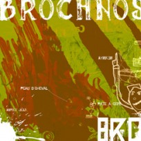 Brochnos